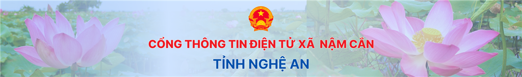 image banner